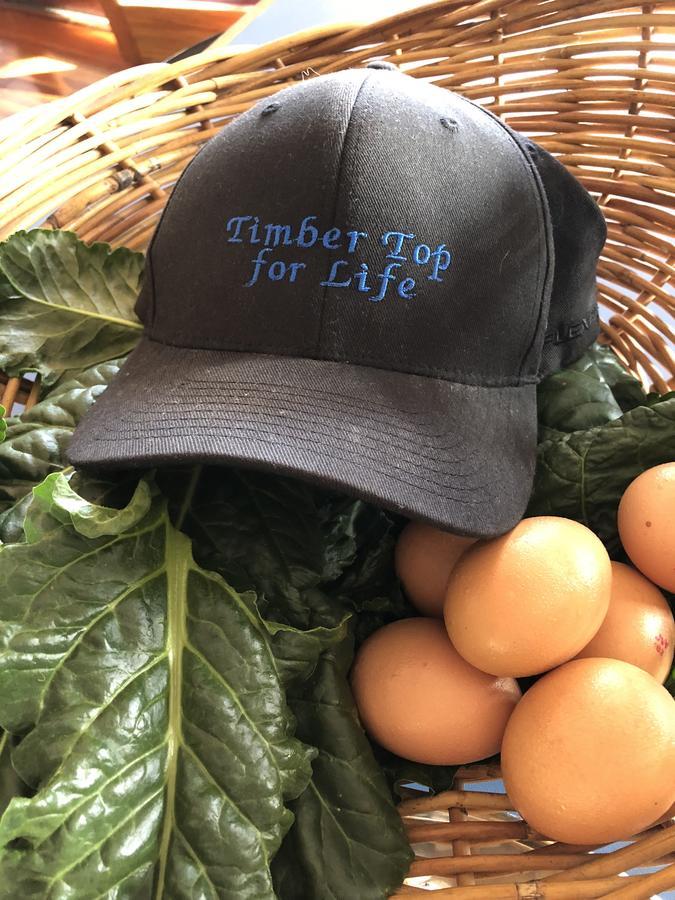 Homestay Timbertop For Life